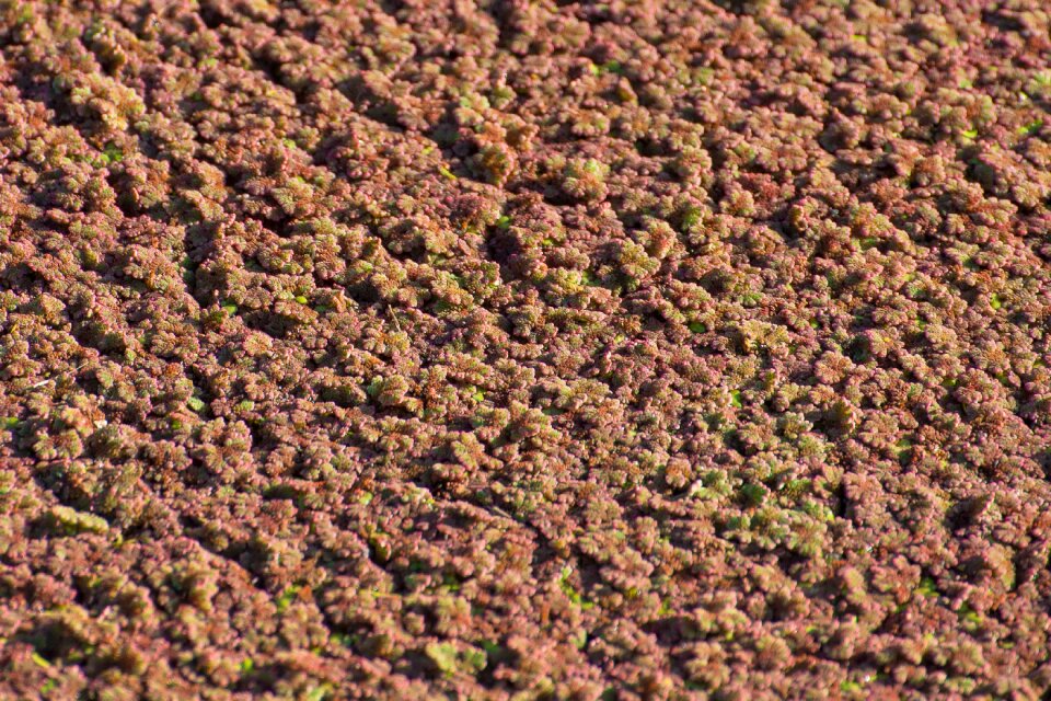 Water ditch countryside