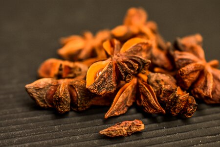 Star aromatic spices photo