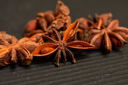 Star aromatic spices photo