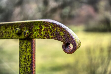 Old broken moss grass photo