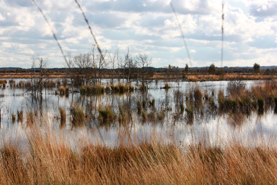 Huvenhoop moor nature nature area