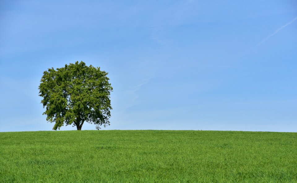 Summer alone horizon