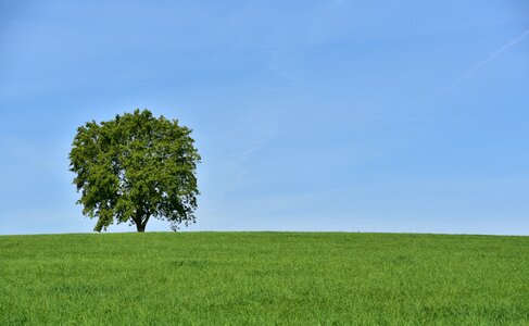 Summer alone horizon