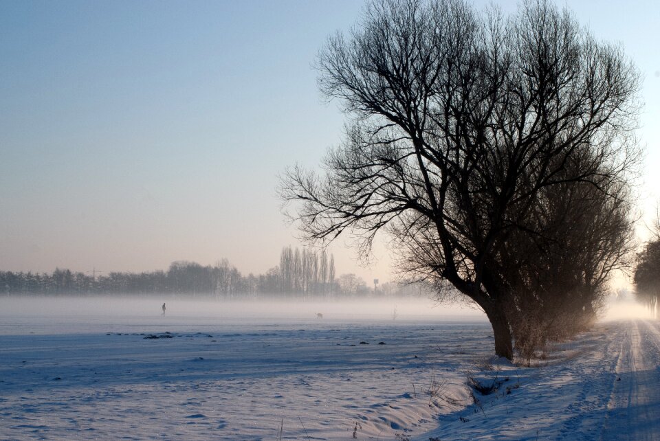 Morning cold landscape