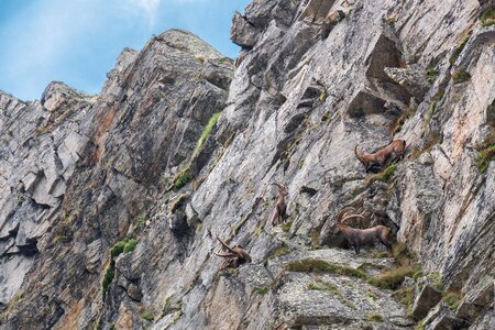 Alpine rock landscape