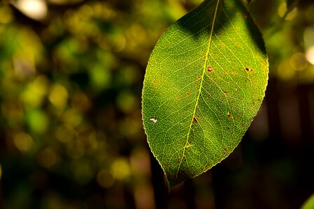 Autumn late summer light