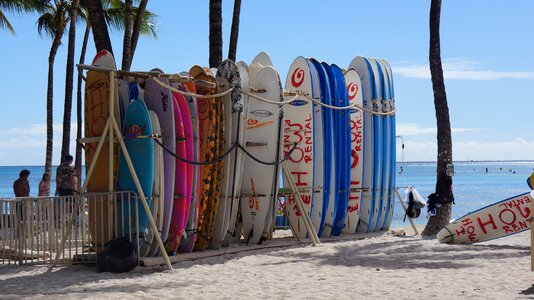 Vacation surf sunlight