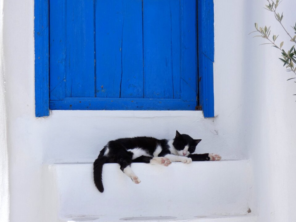 Sleep door blue