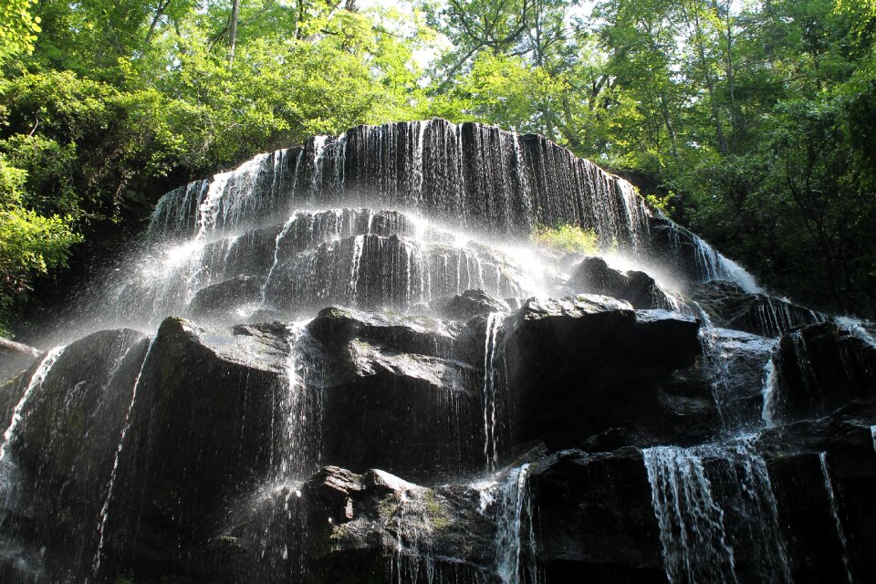 Landscape stream wilderness