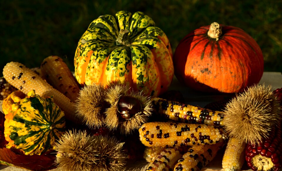 Fruit vegetables edible