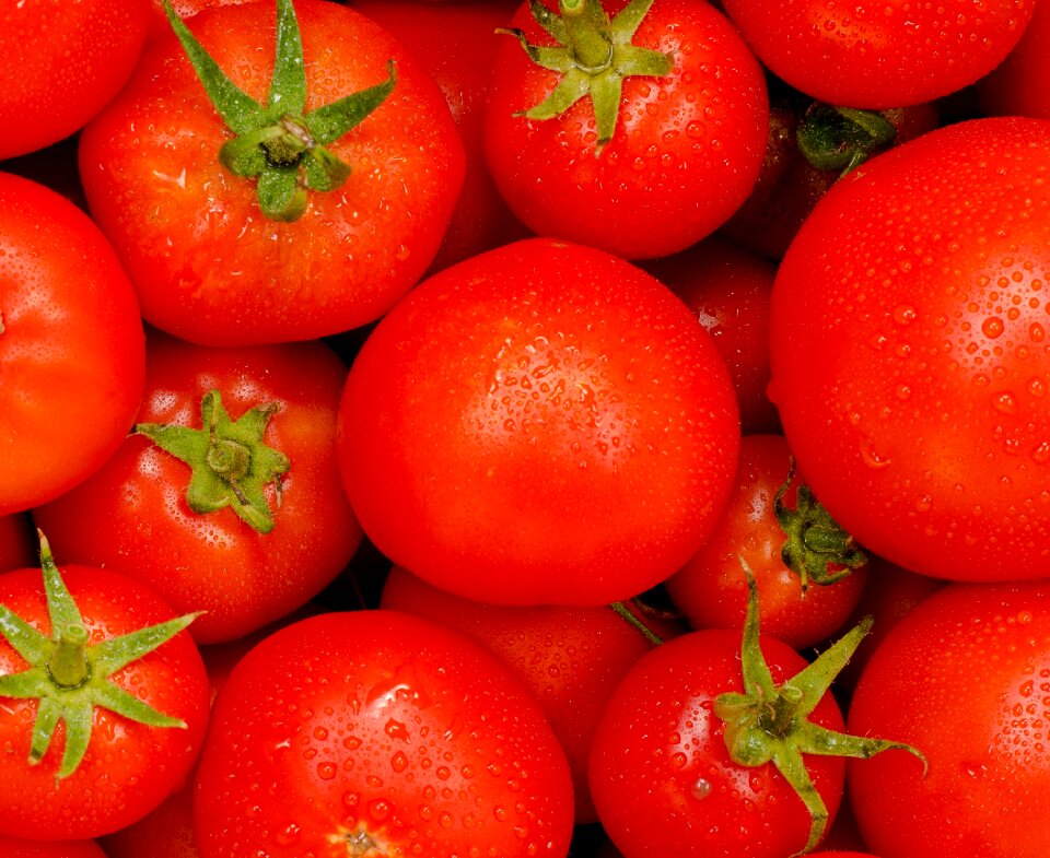 Juicy vegetable grow