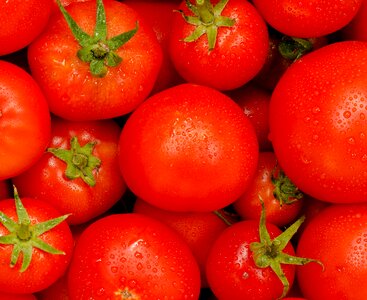 Juicy vegetable grow