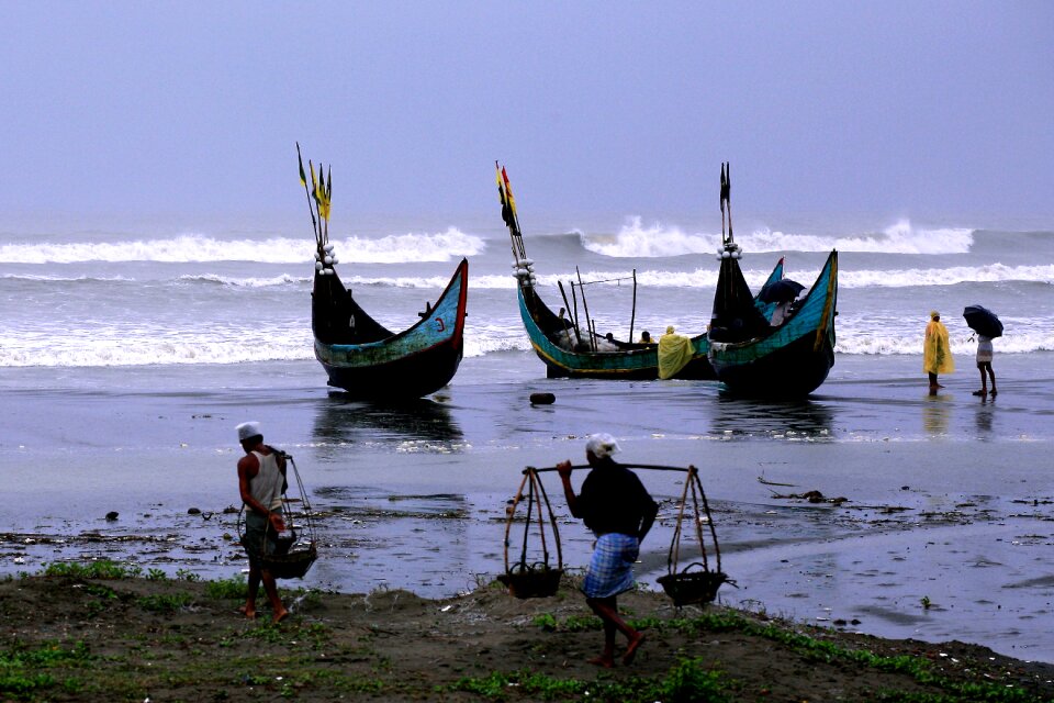 Fishing blue fish blue fishing