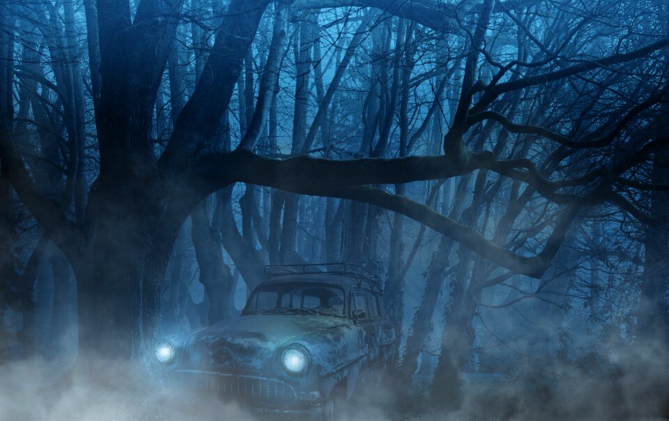 Trees aesthetic weird