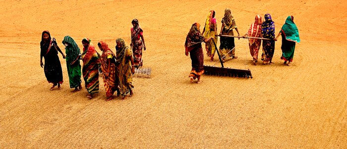 Rice orange work orange rice