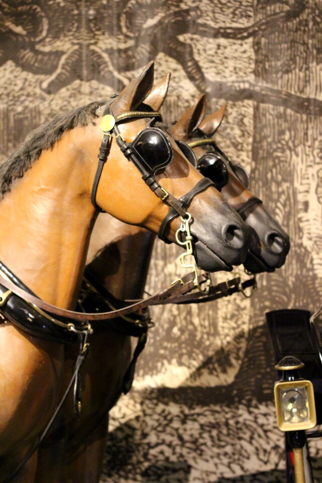 Transport carriage harness