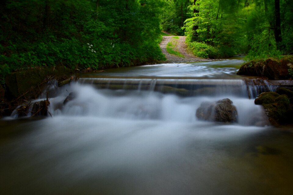 Water nature river