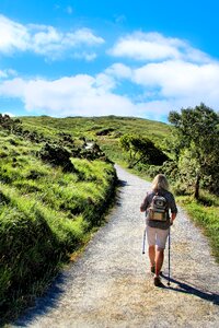 Green landscape travel