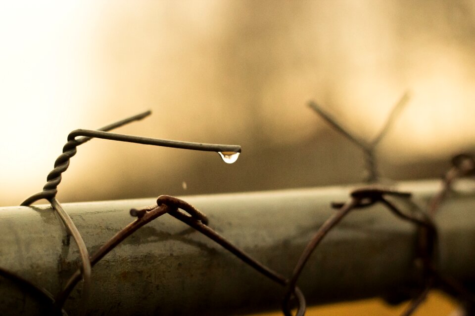 Wet rain nature
