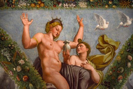 Rafaello ceiling painted