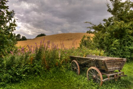 Clouds corn field golden