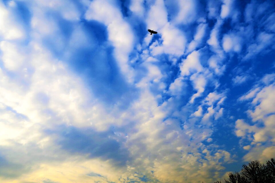 Beautiful atmosphere blue