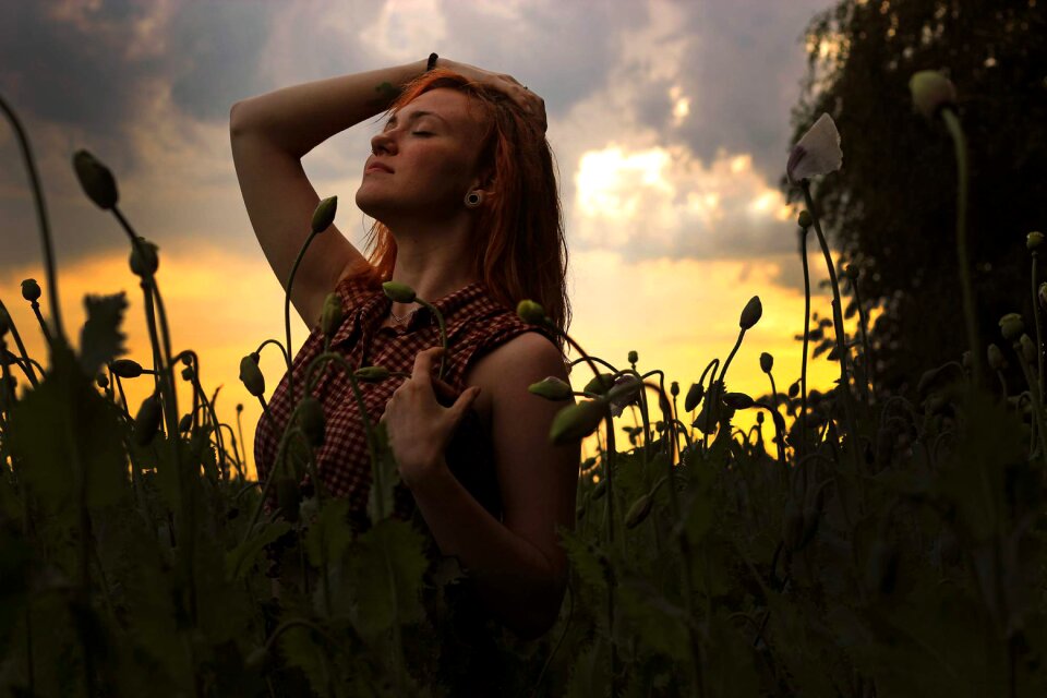 Nature field red