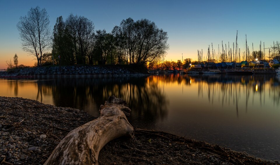 Lake log drift wood photo