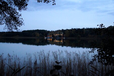 Reeds mood czech republic photo