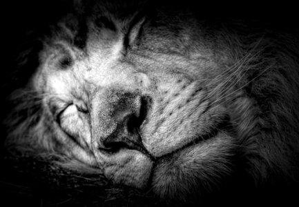 Portrait cute africa