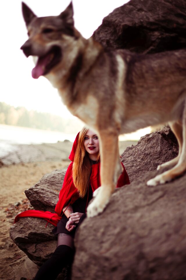 Forest story red
