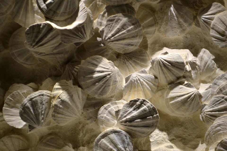 Art background sand