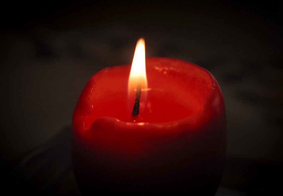 Wax memory st andrew's day