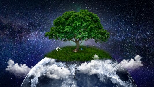 No one outdoors landscape