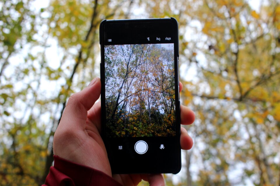 Photo sky trees photo