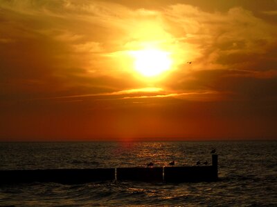 The sun evening the baltic sea photo