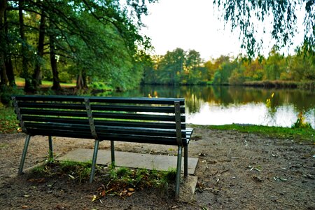 Autumn nature lake