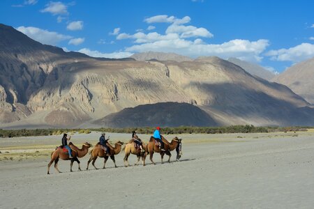 Caravan sand desert photo