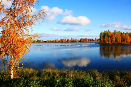 Autumn water colors photo