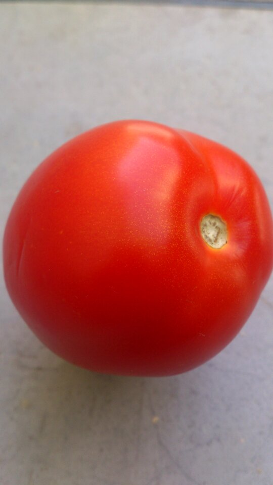 Juicy grow diet