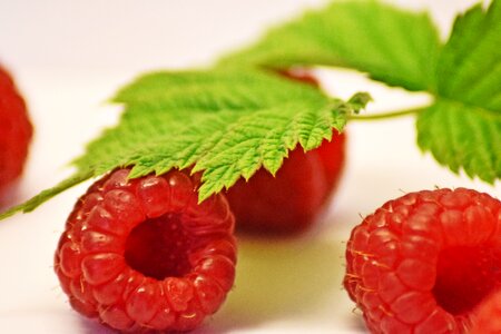Berry dessert raspberry photo