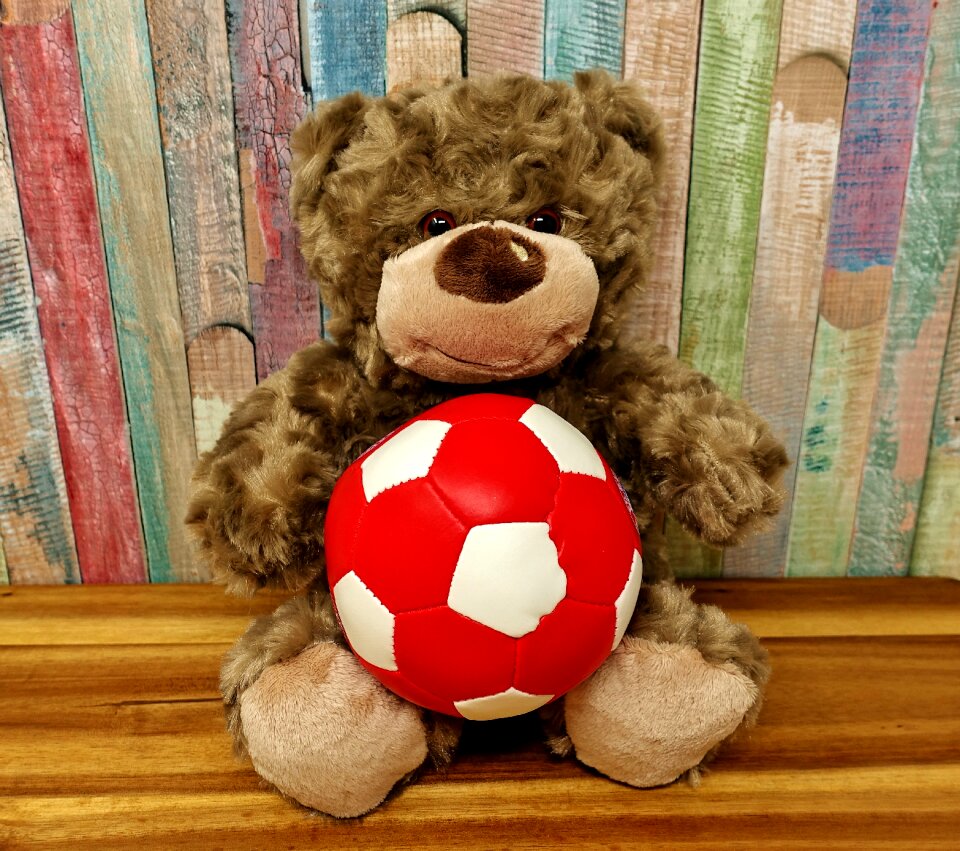 Sweet world championship furry teddy bear