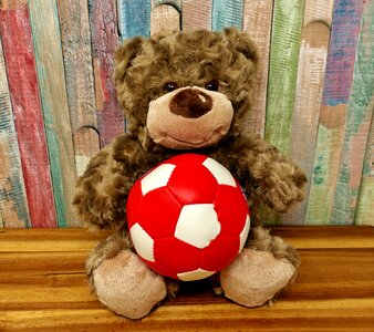 Sweet world championship furry teddy bear photo
