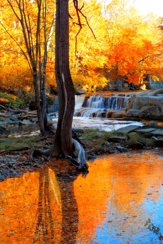 River nature water