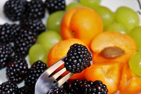 Fork fresh blackberries