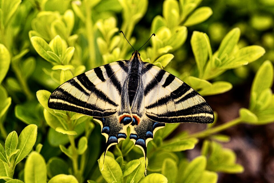 Nature Free photos