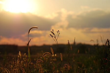 Sun sky clouds photo