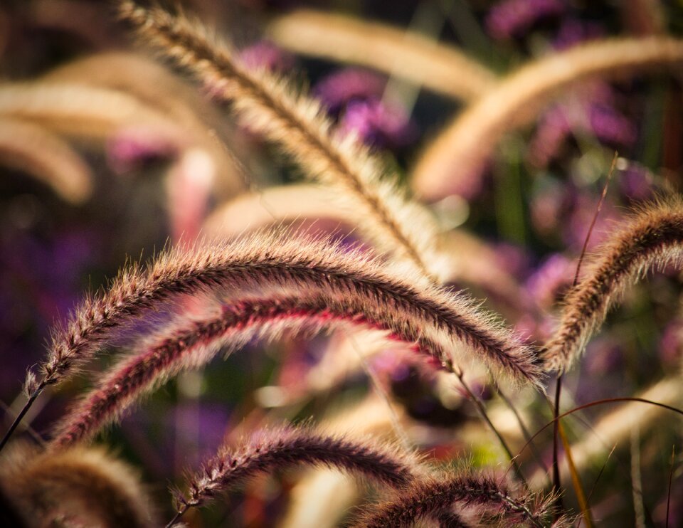 Beautiful close up mood