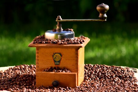 Grind coffee beans historically photo