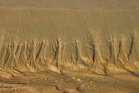 Nature sand mud flat photo
